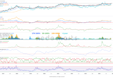 Para Nodecharts, los datos on-chain predijeron el "bull-run"